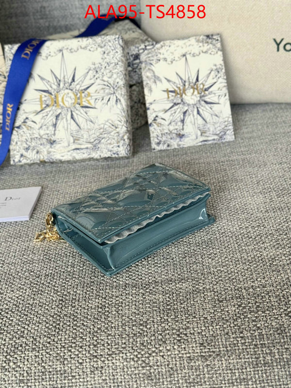 ID: TS4858 $: 95USD,