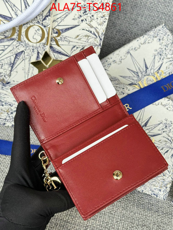 ID: TS4861 $: 75USD,