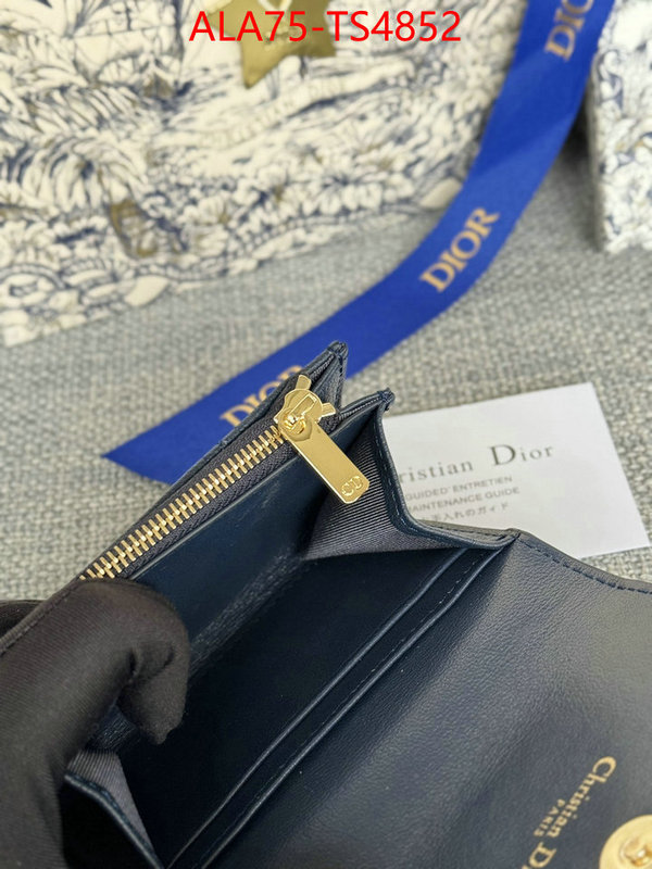 ID: TS4852 $: 75USD,