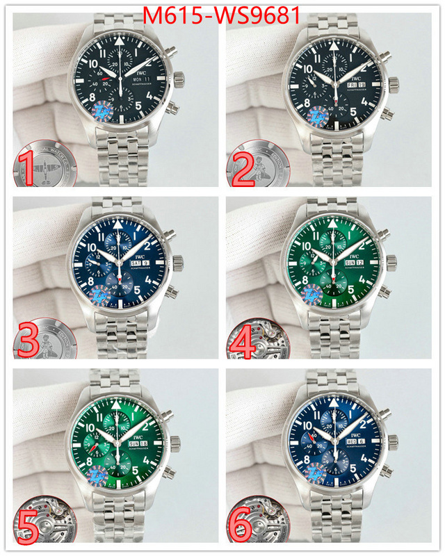 Watch(TOP)-IWC 1:1 replica ID: WS9681 $: 615USD