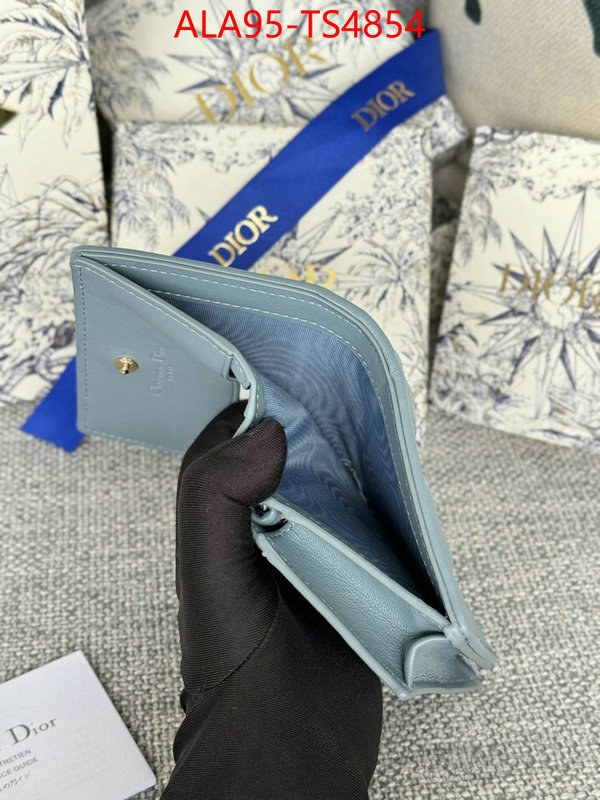 ID: TS4854 $: 95USD,
