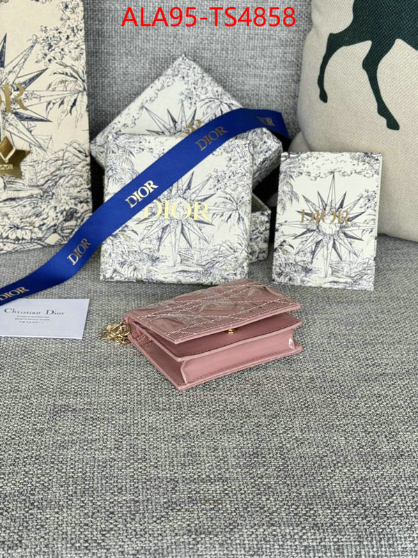 ID: TS4858 $: 95USD,