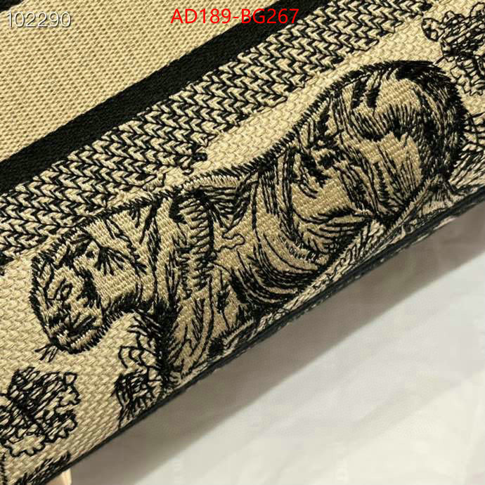 ID: BG267 $: 189USD,