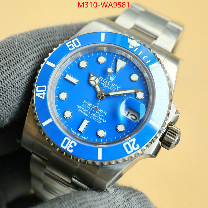 ID: WA9581