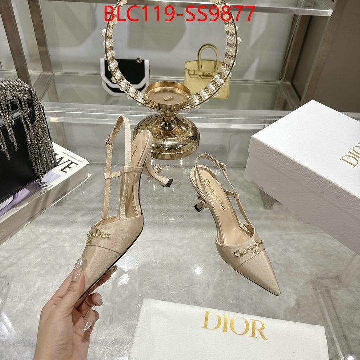 Women Shoes-Dior shop the best high authentic quality replica ID: SS9877 $: 119USD-shoes yupoo Women Shoes-Dior shop the best high authentic quality replica ID: SS9877 $: 119USD