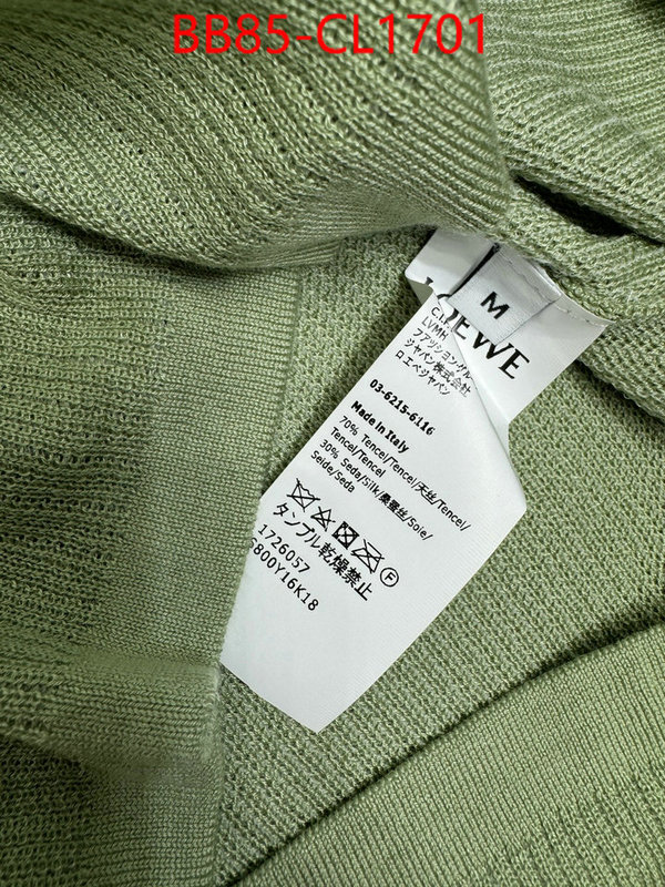 Clothing-Loewe top quality fake ID: CL1701 $: 85USD