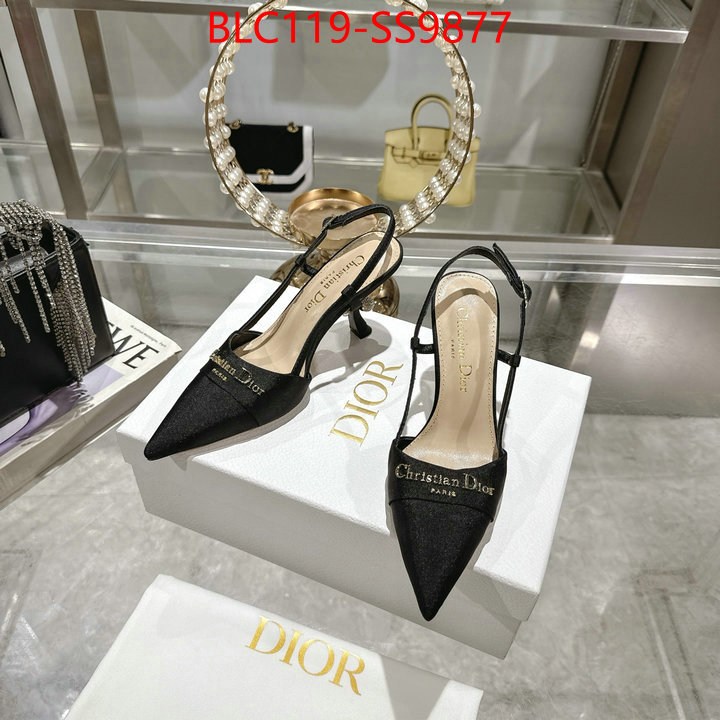 Women Shoes-Dior shop the best high authentic quality replica ID: SS9877 $: 119USD-shoes yupoo Women Shoes-Dior shop the best high authentic quality replica ID: SS9877 $: 119USD