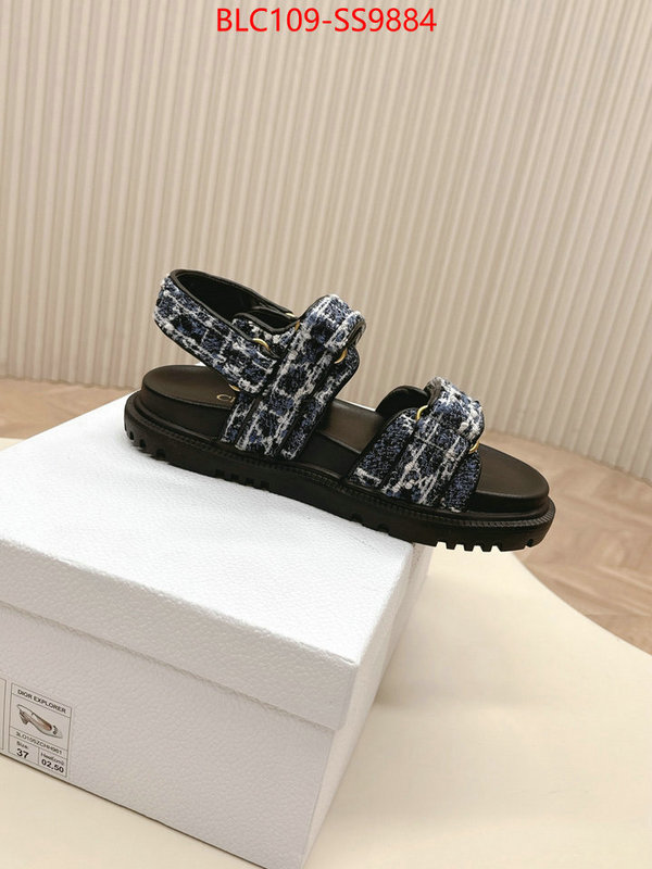 Women Shoes-Dior wholesale 2024 replica ID: SS9884 $: 109USD