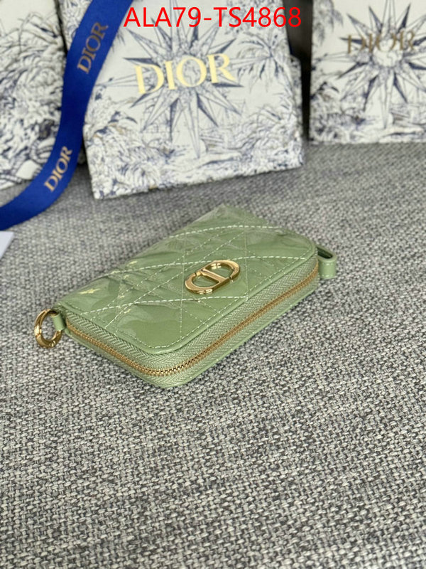 ID: TS4868 $: 79USD,