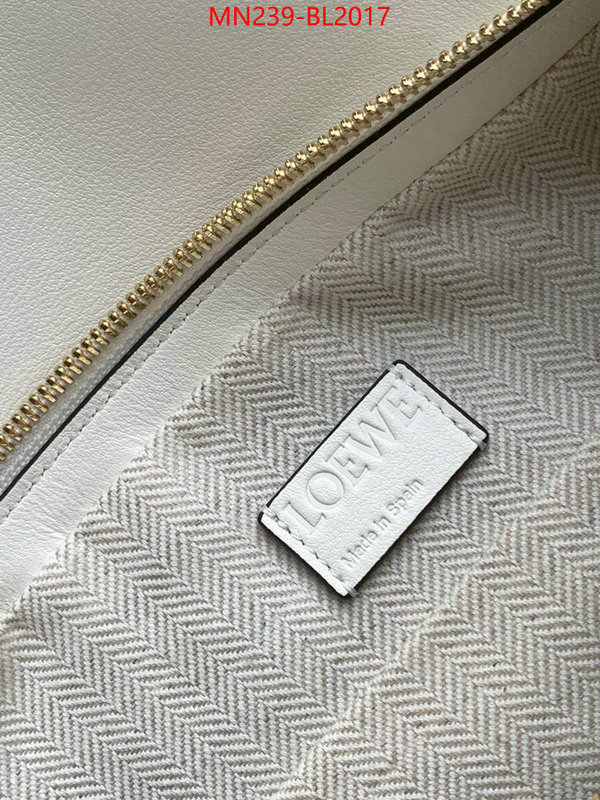 Loewe Bags(TOP)-Handbag- ID: BL2017 $: 239USD,