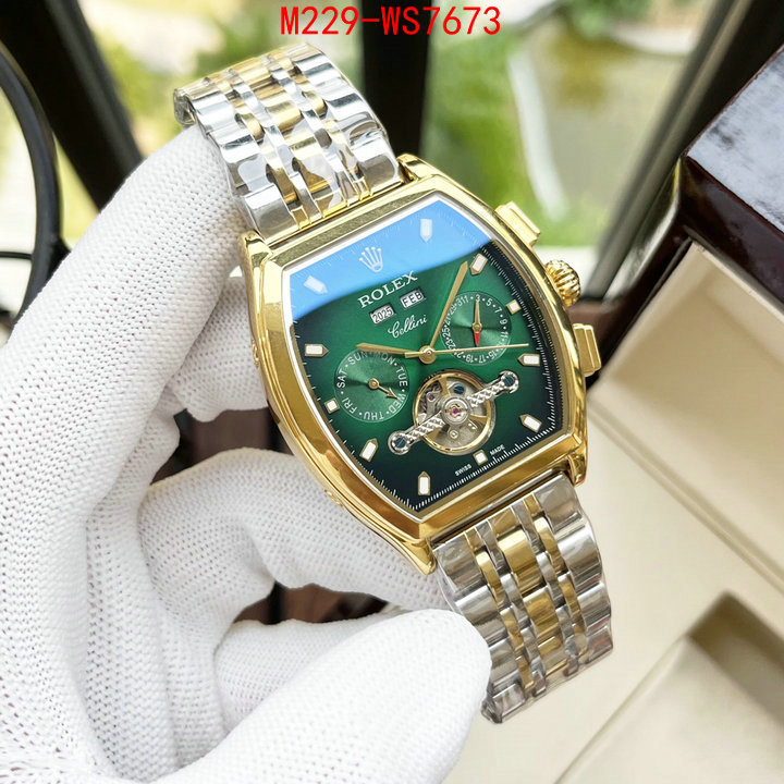 ID: WS7673
