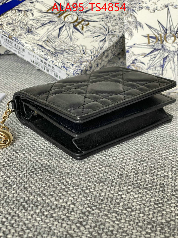 ID: TS4854 $: 95USD,