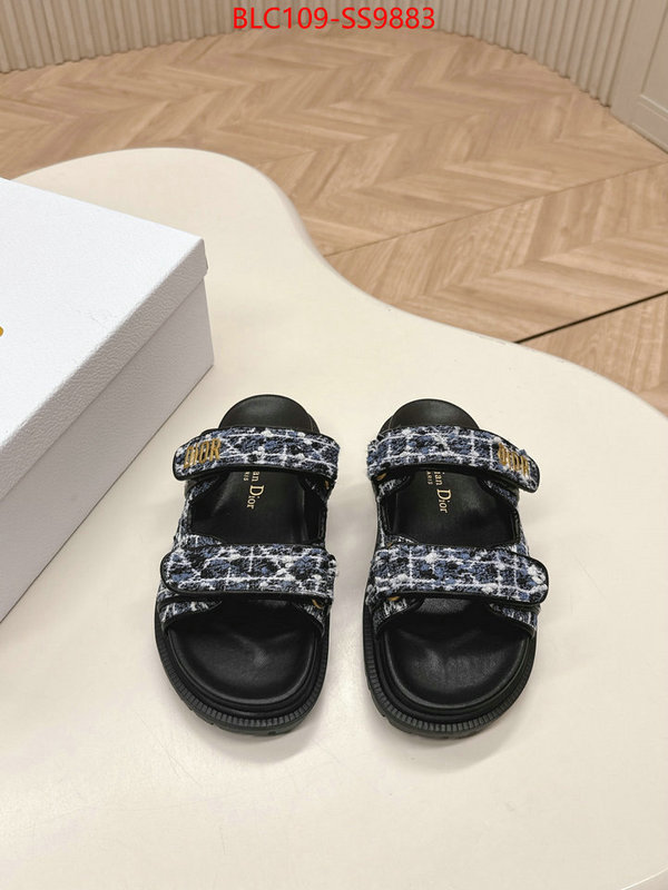 Women Shoes-Dior for sale online ID: SS9883 $: 109USD