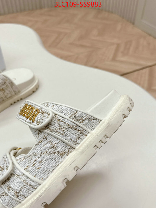 Women Shoes-Dior for sale online ID: SS9883 $: 109USD