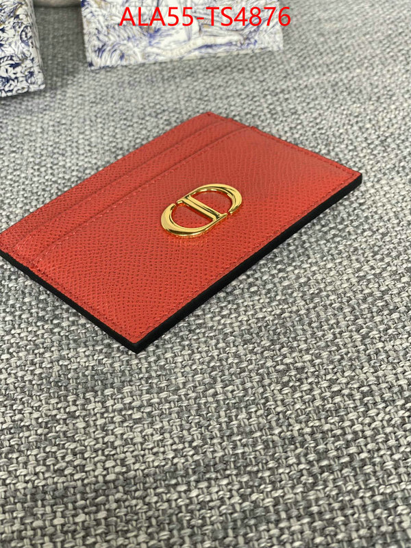 ID: TS4876 $: 55USD,