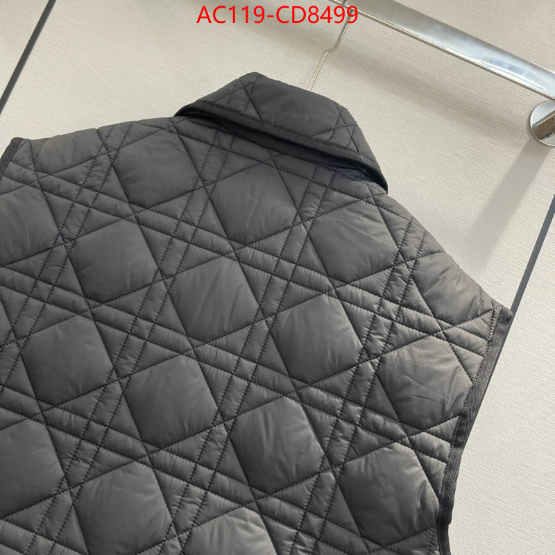 2024 replica ID: CD8499