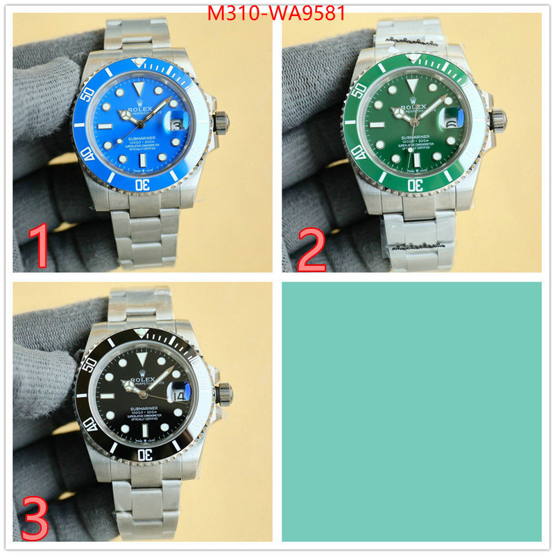 ID: WA9581