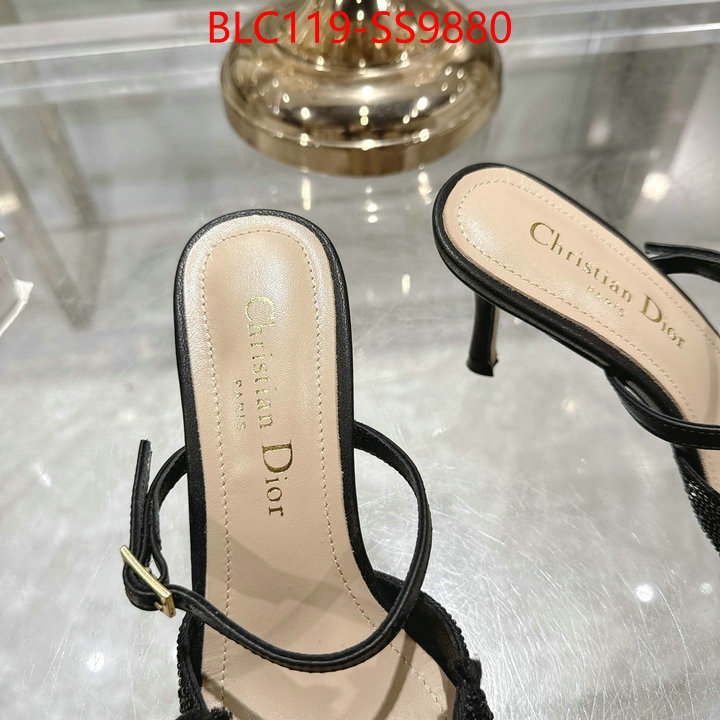 Women Shoes-Dior store ID: SS9880 $: 119USD