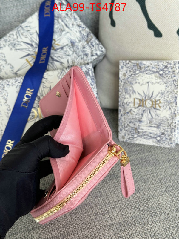 ID: TS4787 $: 99USD,