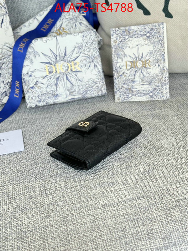 ID: TS4788 $: 75USD,