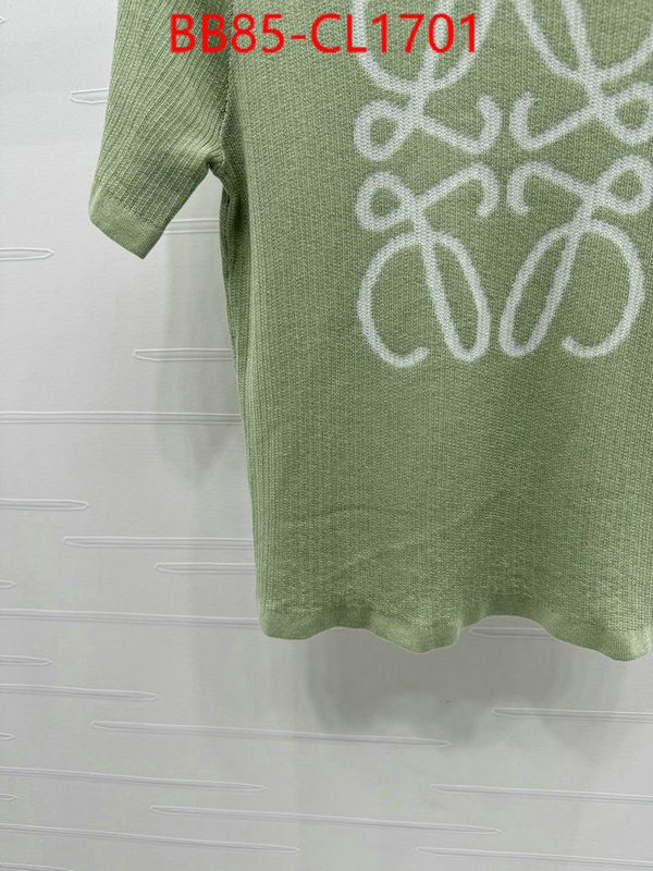 Clothing-Loewe top quality fake ID: CL1701 $: 85USD