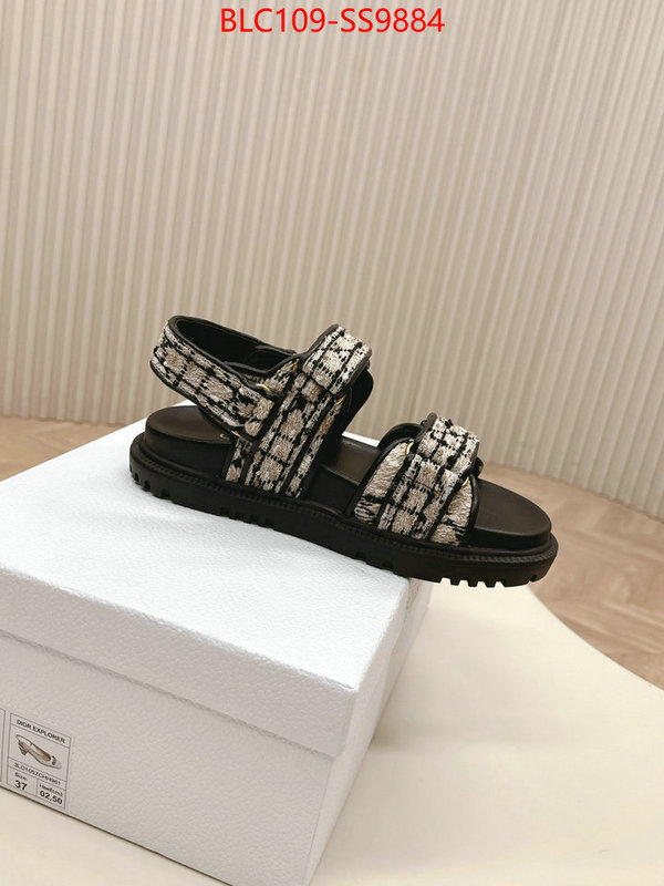 Women Shoes-Dior wholesale 2024 replica ID: SS9884 $: 109USD