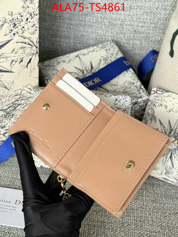 ID: TS4861 $: 75USD,
