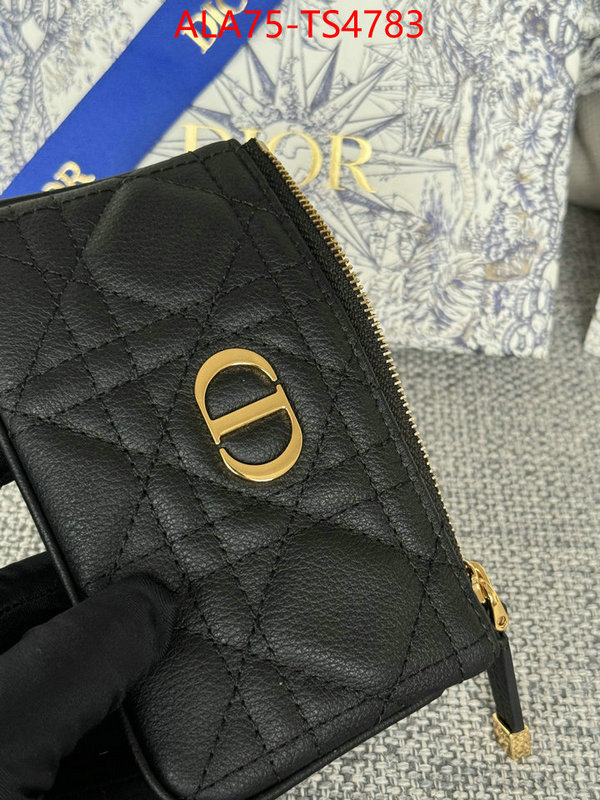 ID: TS4783 $: 75USD,