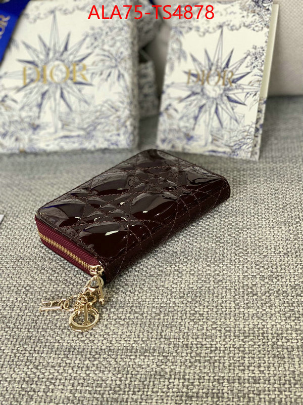 ID: TS4878 $: 75USD,