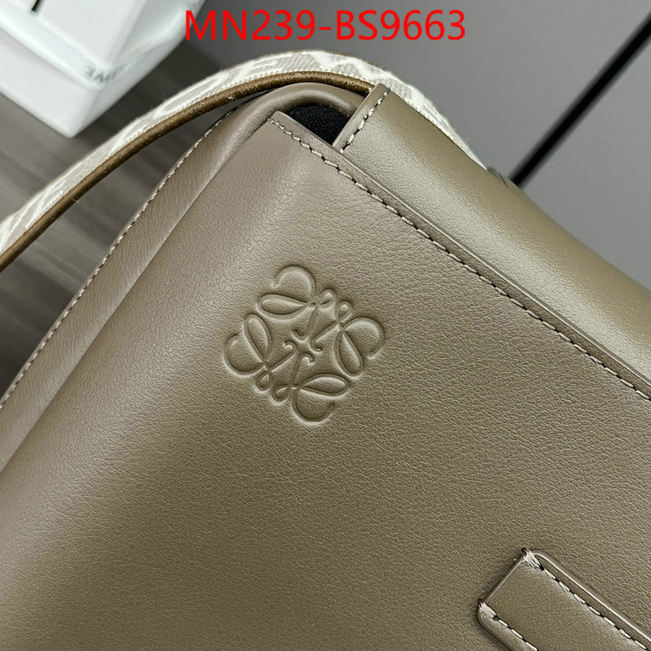 Loewe Bags(TOP)-Crossbody- luxury cheap ID: BS9663 $: 239USD,