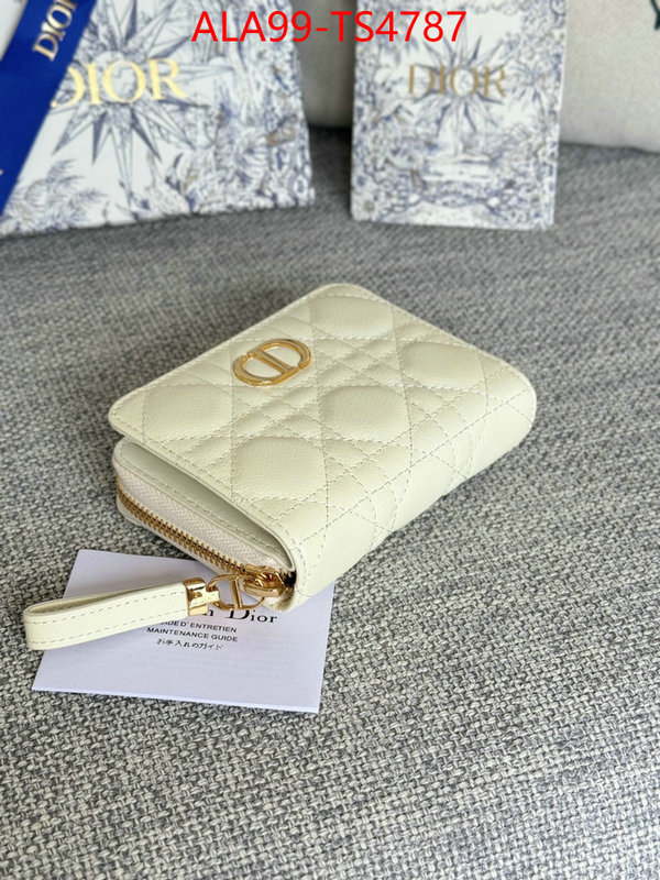 ID: TS4787 $: 99USD,