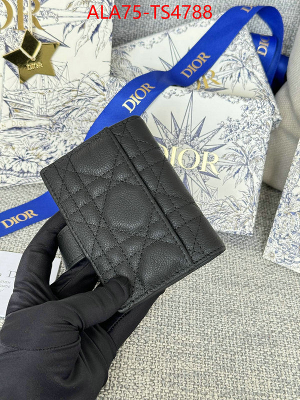 ID: TS4788 $: 75USD,
