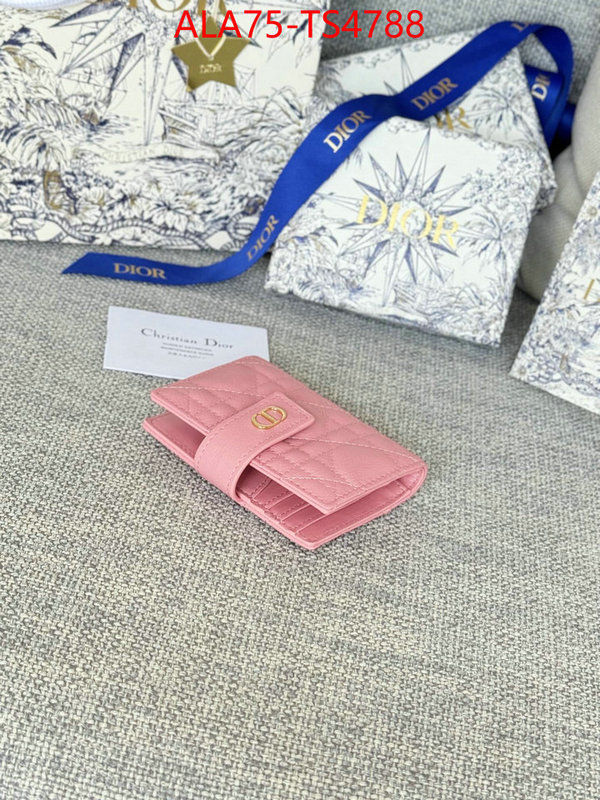 ID: TS4788 $: 75USD,