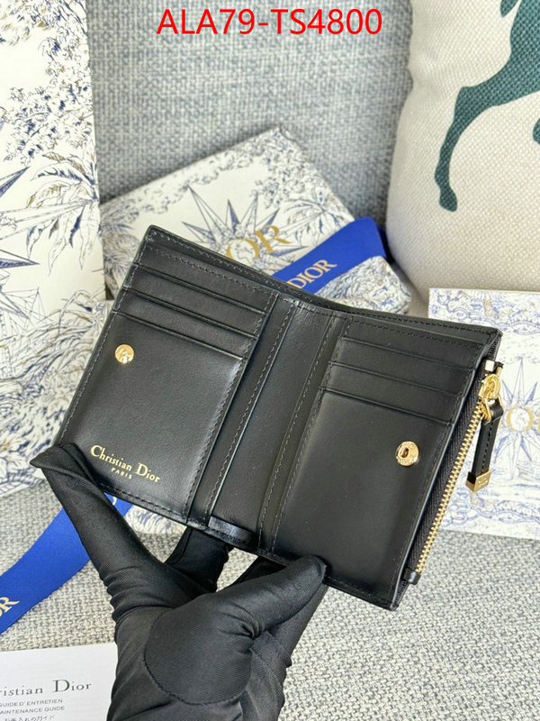 ID: TS4800 $: 79USD,
