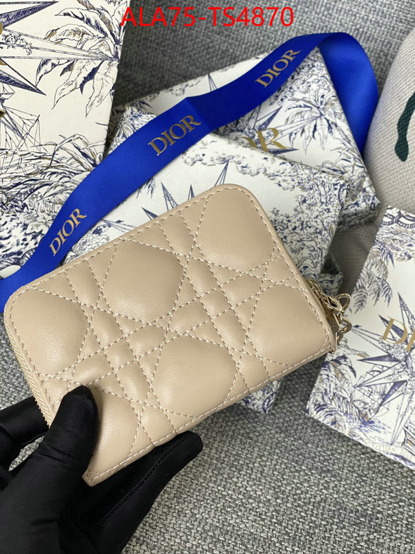 ID: TS4870 $: 75USD,