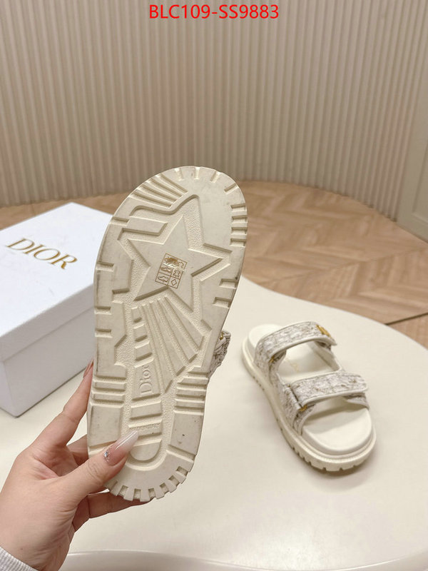 Women Shoes-Dior for sale online ID: SS9883 $: 109USD