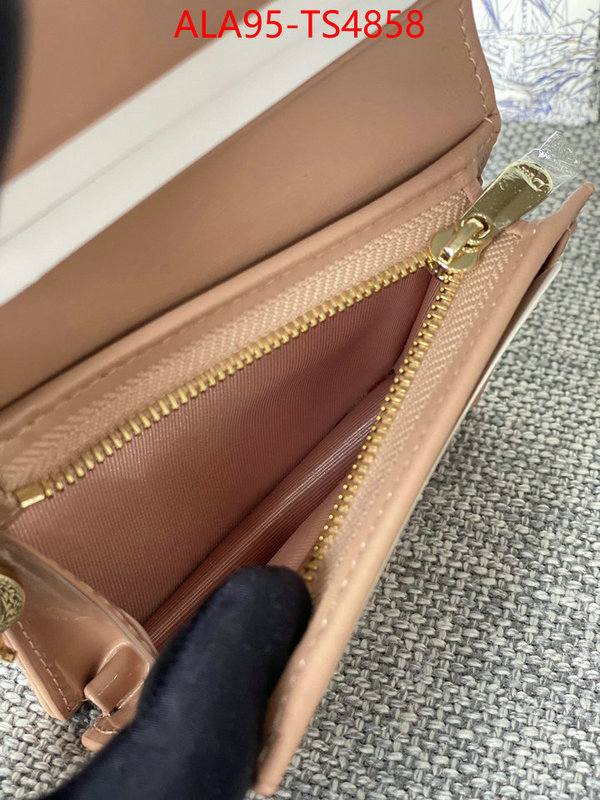 ID: TS4858 $: 95USD,