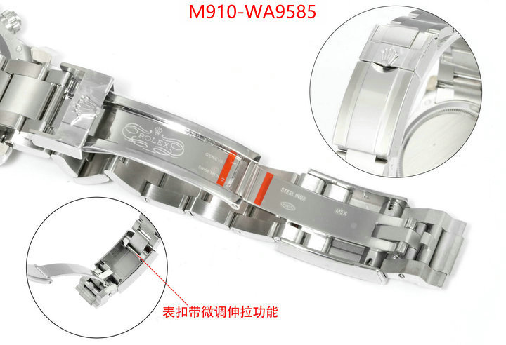 ID: WA9585