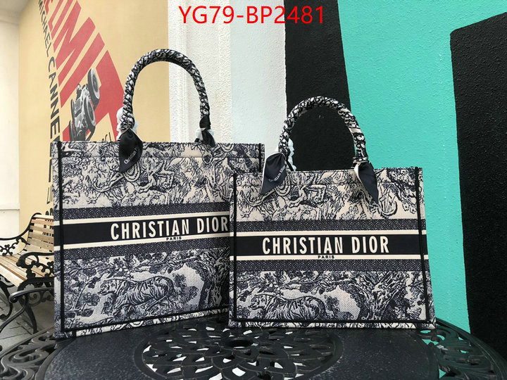 ID: BP2481