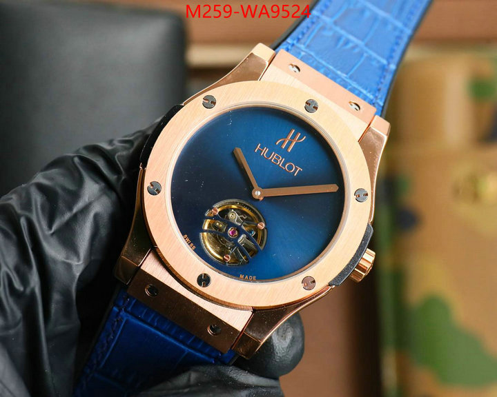 ID: WA9524
