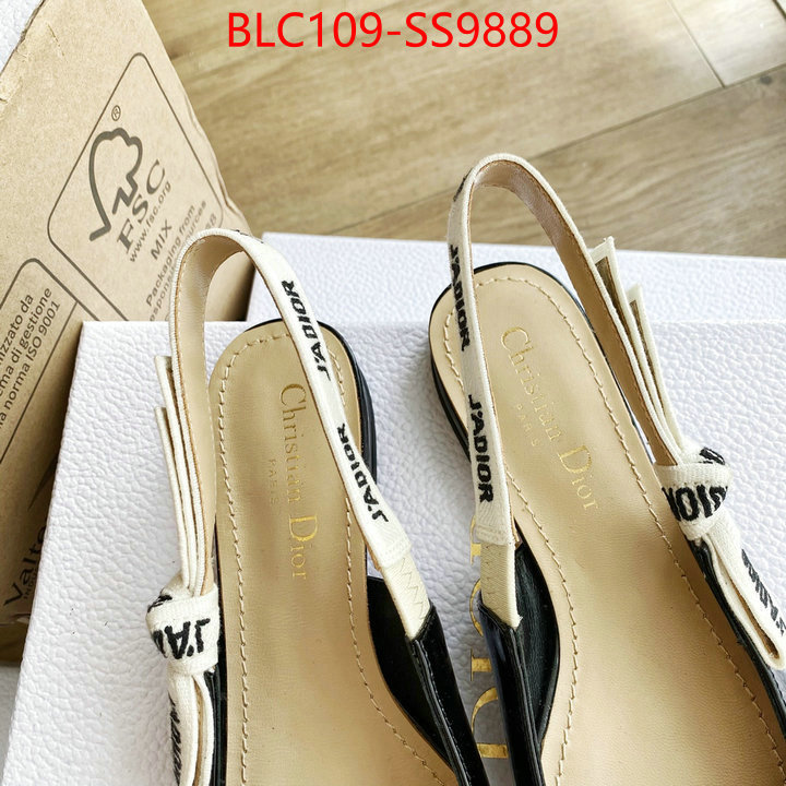 Women Shoes-Dior best knockoff ID: SS9889 $: 109USD