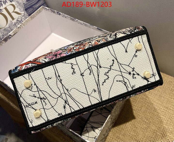 ID: BW1203 $: 189USD,