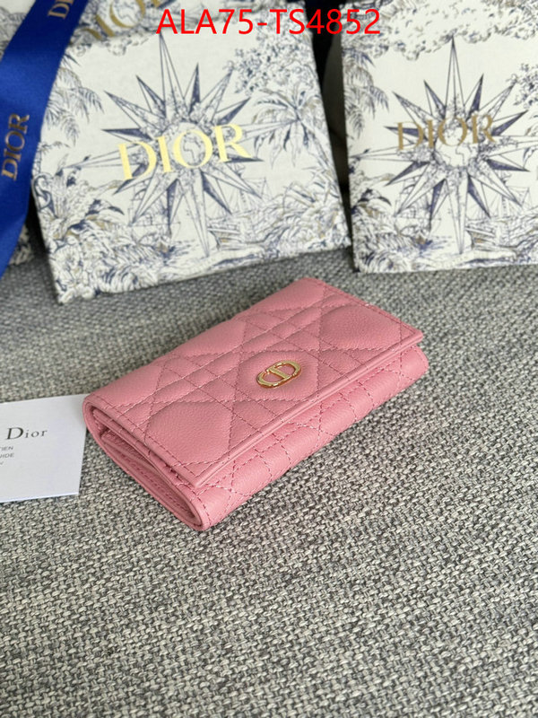 ID: TS4852 $: 75USD,
