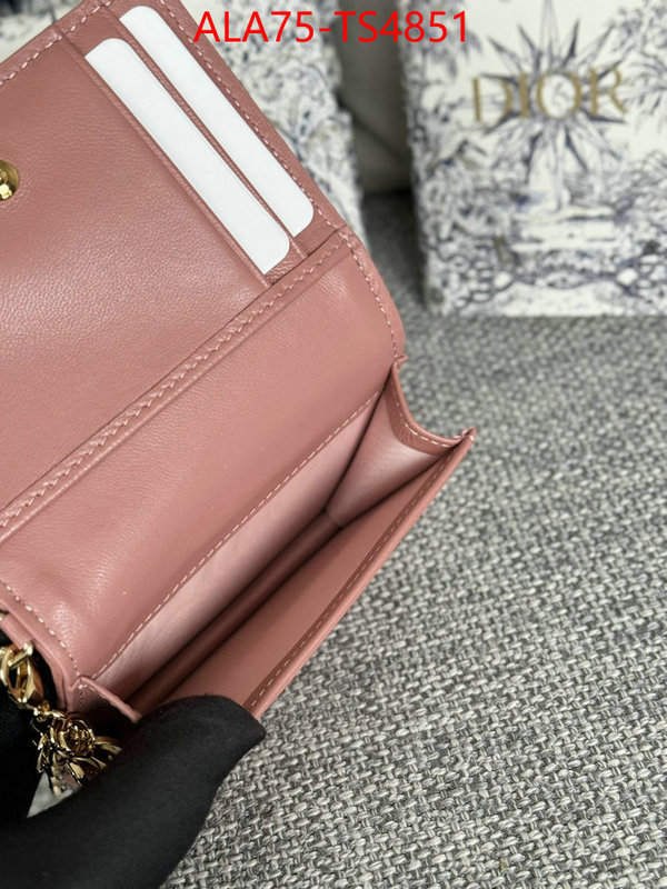ID: TS4851 $: 75USD,