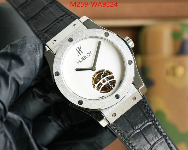 ID: WA9524
