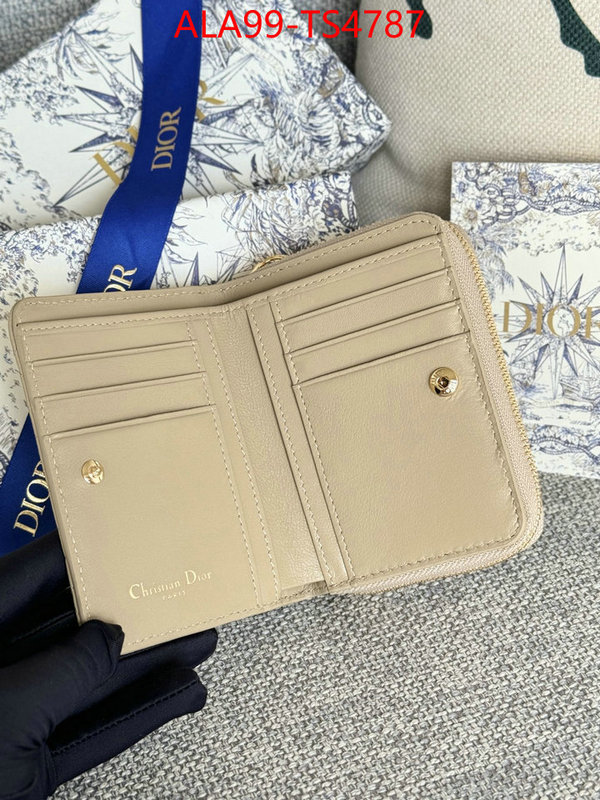 ID: TS4787 $: 99USD,