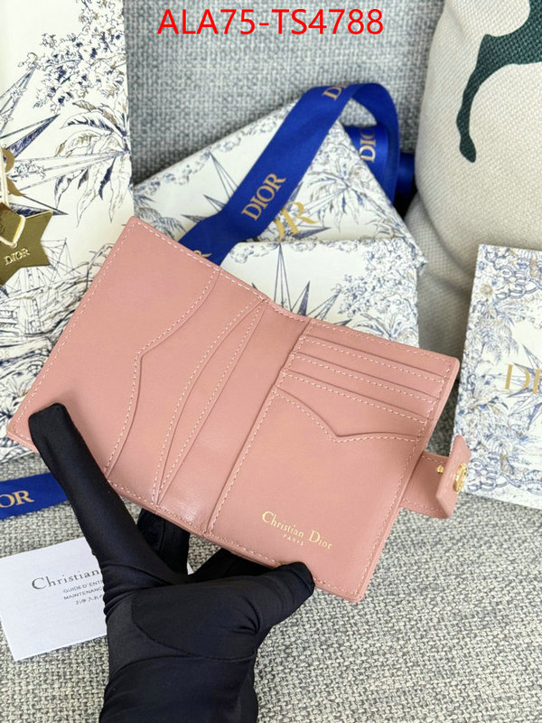 ID: TS4788 $: 75USD,