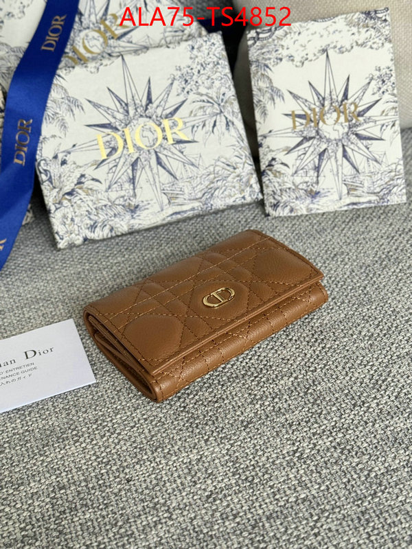 ID: TS4852 $: 75USD,