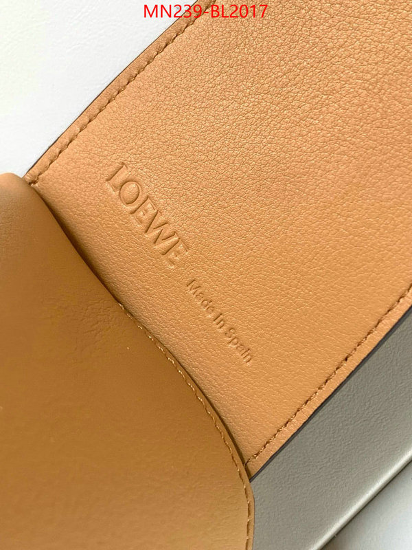 Loewe Bags(TOP)-Handbag- ID: BL2017 $: 239USD,