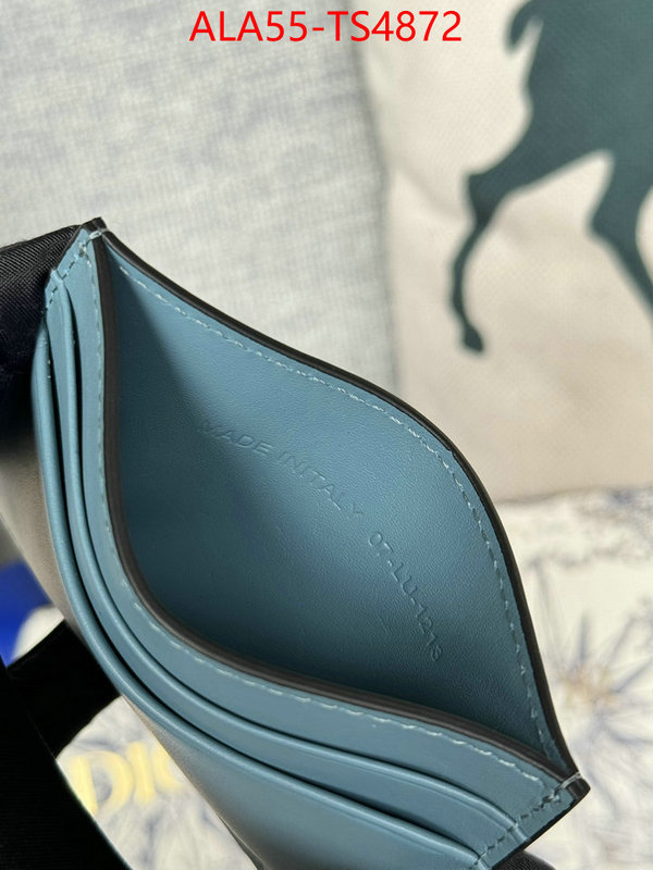 ID: TS4872 $: 55USD,